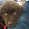 lindsey200319